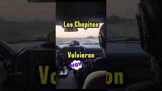 Los chapitos llegan a Sinaloa narcosmexico narcos loschapitos sinaloa culiacan durango lpm [upl. by Nylcsoj]