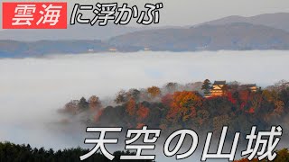 雲海に浮かぶ天空の山城『備中松山城』☆雲海展望台から見る絶景！ [upl. by Ettigirb]