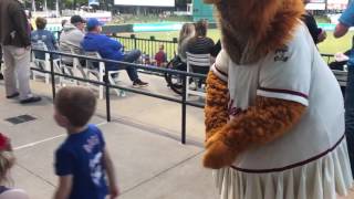 RoughRiders Baseball  Frisco TX [upl. by Rothberg]