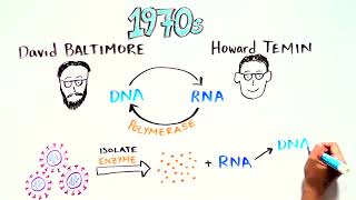 Reverse Transcriptase an Enzyme that copies RNA to DNA [upl. by Anolahs]