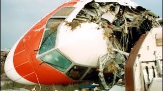 boredomshort video Martinair Holland Flight 495 Crash Sequence [upl. by Leak142]