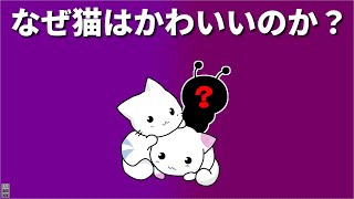 【知らなきゃよかった】科学が暴いた猫が可愛い本当の理由？ [upl. by Kramnhoj]