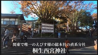 【 桐生西宮神社 2 】秋季例大祭の「 えびす講 」 [upl. by Cesaria]