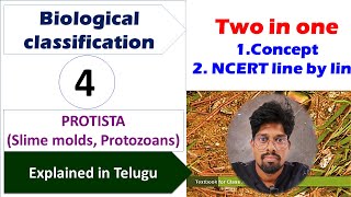 BIOLOGICAL CLASSIFICATION4 PROTISTASlime molds Protozoans  NCERTLINE BY LINE  Class 11 [upl. by Jeff488]