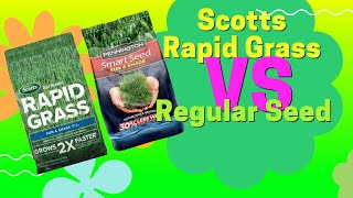 Scotts Rapid Grass Against Plain Seed [upl. by Primavera]