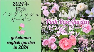 【2024年 横浜イングリッシュガーデン 〜ピンクローズガーデン〜】yokohama english garden「pink rose garden」 [upl. by Cannon]