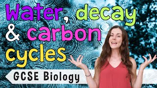 WATER DECAY AND CARBON CYCLE GCSE Biology 91  Combined Revision amp Qs [upl. by Ordnas]