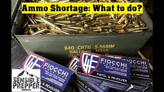 Ammo Shortage  What to do [upl. by Feeley5]