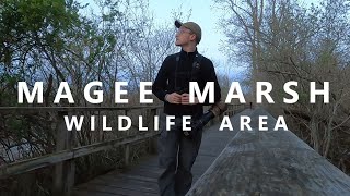 On Location Magee Marsh Wildlife Area [upl. by Voleta]