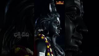 పున్నమి వెలుగుల్లో ఆ పరమ శివుడి ప్రతిరూపం mahadev kotideepotsavam shorts kotideepotsavam2024 [upl. by Liakim164]