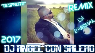 DJ PASCUAL 2017 DESPACITO PASITO A PASITO REMIX DJ ANGEL CON SALERO [upl. by Acissehc947]