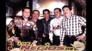 Los Necios de Michoacan  rincon michoacano [upl. by Renat]