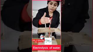 Electrolysis of water vkcclasseselectrolysis using salt electrolysis of water at Home [upl. by Jarietta]