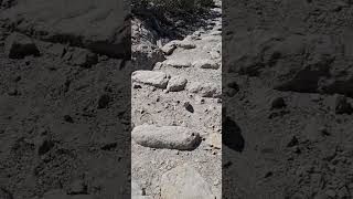 A hike at Massai Point in Chiricahua National Monument [upl. by Naanac]