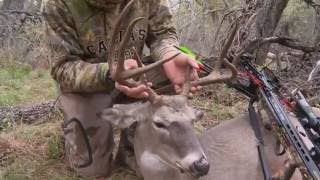 Early Morning Crossbow Hunt for Whitetail [upl. by Karlen840]