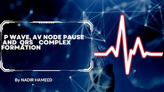 ECG P wave QRS complex and t wave [upl. by Anev547]