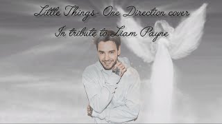 Little Things One Direction Cover Tribute to Liam Payne [upl. by Melisa]