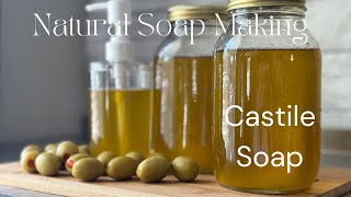 CASTILE SOAP LIQUID SOAP MAKING [upl. by Capriola]