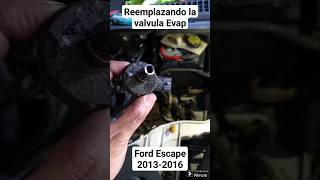 Reemplazamos la Válvula Evap de una Ford Escape 2015 [upl. by Aileme58]