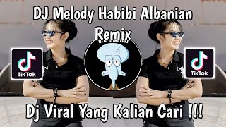 DJ MELODY HABIBI ARABIAN REMIX  DJ MELODY KANE FEXD RMX VIRAL TIK TOK TERBARU 2024 [upl. by Nitsej]