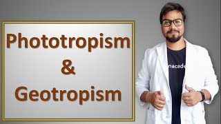 Phototropism and geotropism in hindi [upl. by Hcib]