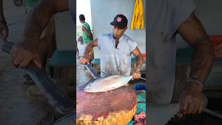 Amazing expert cutting fresh tuna in a dirty place tuna seafood fish streetfood [upl. by Atteniuq302]