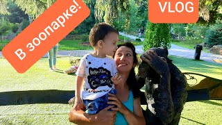 Влог в зоопарке  Развлечения для детей  In the zoo looking at the animals VLOG [upl. by Notsirb]