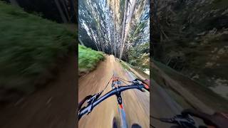 MTB TRAIL CRASH ⚡🥷🏻 MTB TRAIL 🚀☢️ mtb downhill [upl. by Arabella765]