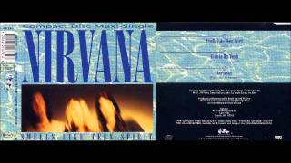 Nirvana  Smell Like Teen Spirit Bass Only [upl. by Airetal]