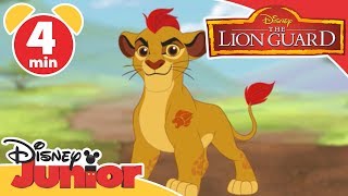 Lion Guard Scars Scheme  Divide and Conquer HD Clip [upl. by Bobine]