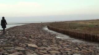 Hallig Hooge Nordseeinsel im Wattenmeer  UNESCO Weltnaturerbe [upl. by Yraht]