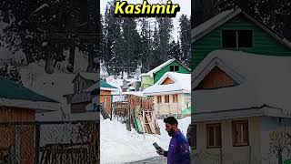 Kashmir Tour travel travelvideos travelingmiddays [upl. by Christabelle228]