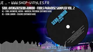 Soul AvengerzSebb Junior  Fools Paradise Sampler Vol 2 BLACK FP002 [upl. by Ellekim749]