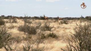 Namibia erleben  Teil 6  Lodges zum Wohlfühlen [upl. by Oirramaj]