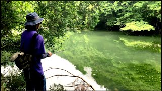 バス釣り 〜梅雨の野池でデカバス狙い編〜 [upl. by Renaud]