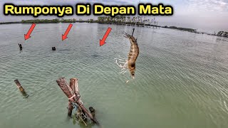 Spot ViP Air Jernih Adem Ikanya Banyak Auto Kehabisan Udang Mancing Disini [upl. by Nosreve]