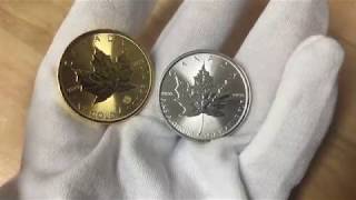 2019 Canadian Maples  Gold vs Platinum  Bullion Exchanges [upl. by Frantz166]