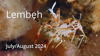 Lembeh  July 2024 [upl. by Unhsiv777]