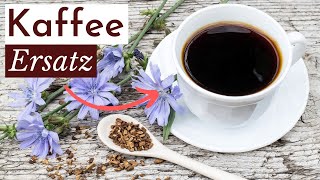 GESUNDE Kaffee ALTERNATIVE I ZICHORIE Wirkung amp Zubereitung [upl. by Ellehs499]