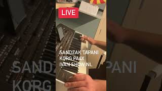 Sandzak Tapani  live korg pa4x instrumental balkan music [upl. by Ahsiket642]