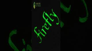 【夜光墨】J Herbin Phosphorescent Ink 隱形夜光墨水（30ml） [upl. by Kcirdet]