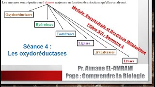 Séance 4vidéo 1  Classification des enzymes  Les oxydoréductases [upl. by Ridgley]