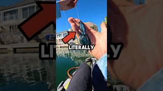 Freshwater Lures in Saltwater fishingvideo fishing [upl. by Nura]