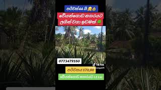 වටින්න ඉඩමක් houseforsalesrilanka home director automobile ganemulla land kiribathgoda korea [upl. by Naie187]