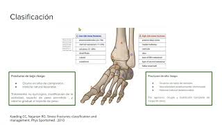 Fracturas por estres en el pie Dr Hernan Henao [upl. by Ajram]