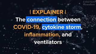 Explained The Connection Between COVID19 Cytokine Storm Inflammation and Ventilators [upl. by Balcke]