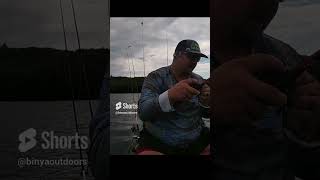 Epic double up shortsvideo shorts fishing [upl. by Plunkett772]