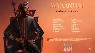 Andualem Gosa  AYYAANTUU  New Oromo Music Album 2024 [upl. by Rather937]