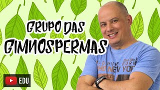 Gimnospermas I Botânica I Características e reprodução [upl. by Noman]