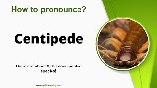 How to pronounce Centipede in English correctly [upl. by Tteve]